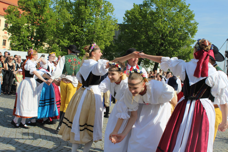 Májové slavnosti se zaplétáním máje v Jihlavě