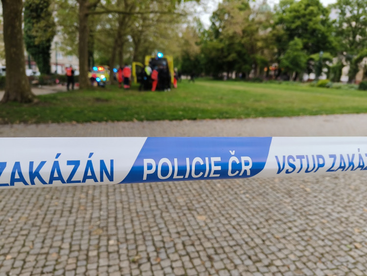 K napadení došlo bílého dne v centru Plzně, zdroj: Zuzana Duzbabová: Napadení v centru města