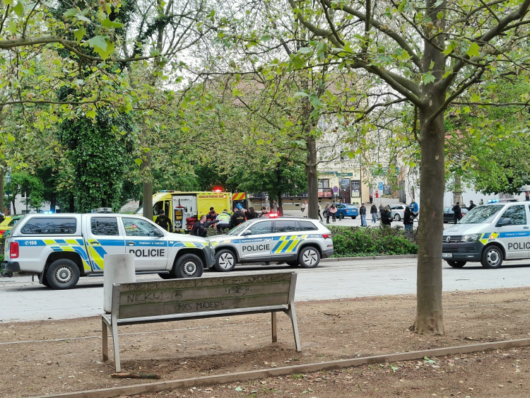 K napadení došlo bílého dne v centru Plzně, zdroj: Zuzana Duzbabová