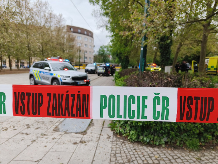 K napadení došlo bílého dne v centru Plzně, zdroj: Zuzana Duzbabová