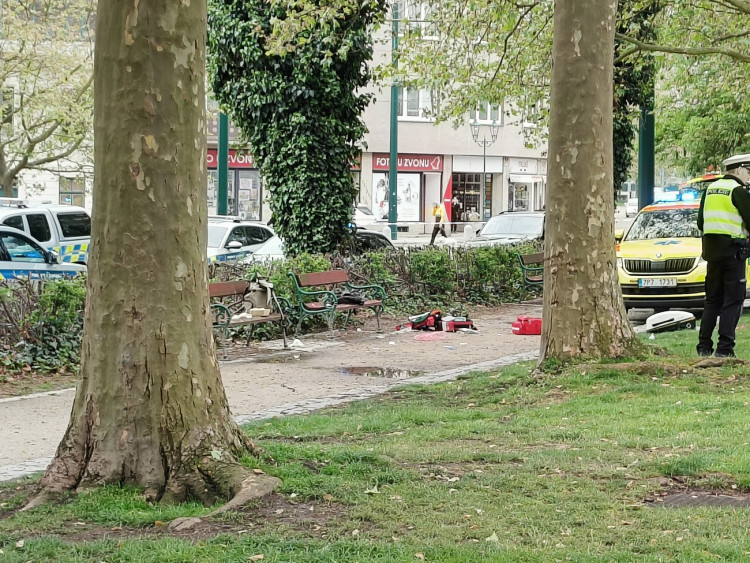 K napadení došlo bílého dne v centru Plzně, zdroj: Zuzana Duzbabová: Napadení v centru města
