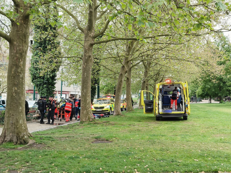 K napadení došlo bílého dne v centru Plzně, zdroj: Zuzana Duzbabová