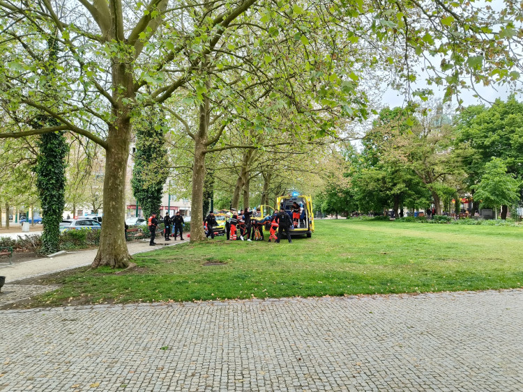 K napadení došlo bílého dne v centru Plzně, zdroj: Zuzana Duzbabová v centru města