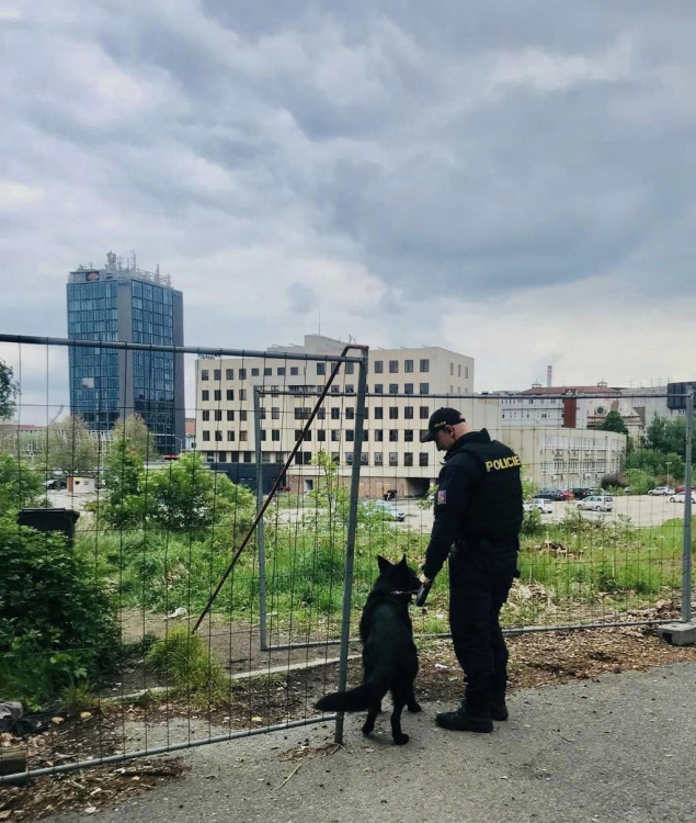 Police důkladně prohledává i širší okolí, zdroj: Policie ČR