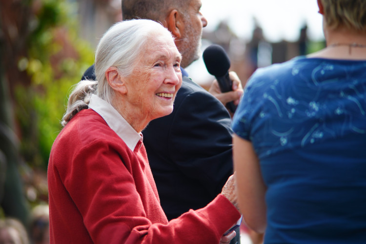 FOTOGALERIE: Legendární Jane Goodallová pokřtila gorilí samičku v pražské zoo. Vybrala pro ni jméno Gaia