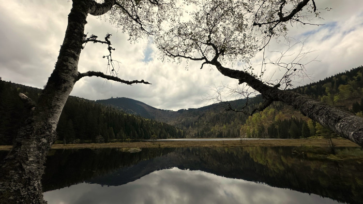 Pohled na Velký Javor