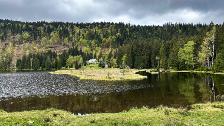 Restaurace u Malého Javorského jezera