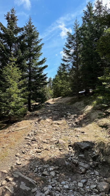 Cesta vede stále do kopce