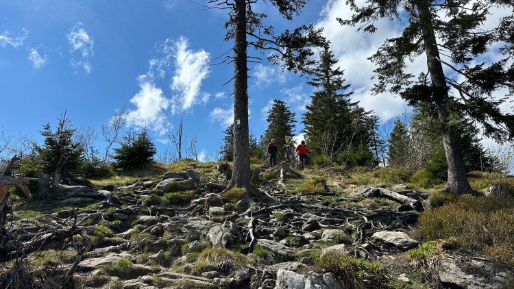 Stoupání na Malý Javor