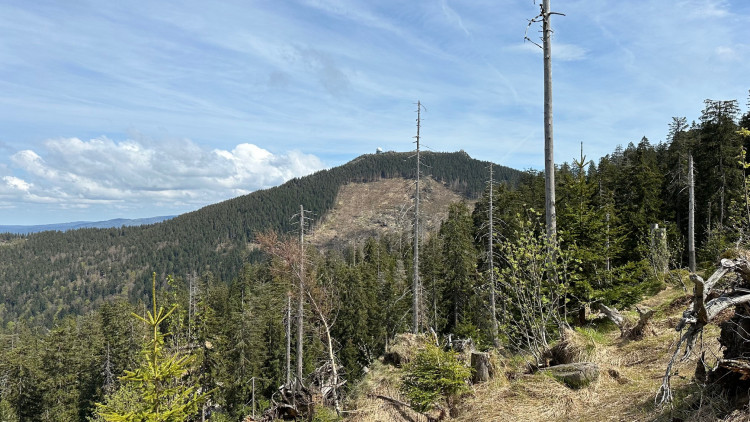 FOTOGALERIE: Malé Javorské jezero a Velký Javor
