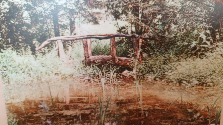 FOTOGALERIE: Kulaté výročí parku Michalov připomínají unikátní historické snímky