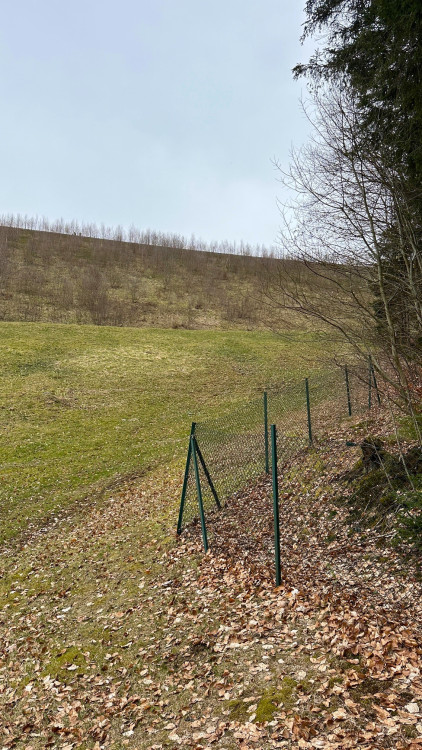 FOTOGALERIE: Šumavská přehrada u Frauenau