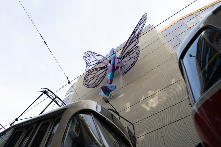 FOTOGALERIE: Obchodní dům Máj už zdobí oba Černého motýli. Povolení dostali na rok