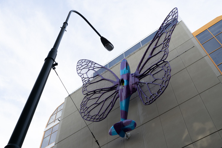 FOTOGALERIE: Obchodní dům Máj už zdobí oba Černého motýli. Povolení dostali na rok