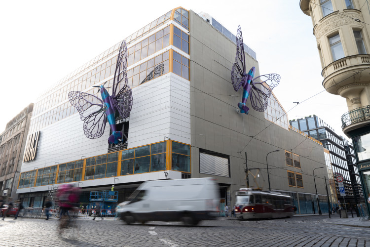 FOTOGALERIE: Obchodní dům Máj už zdobí oba Černého motýli. Povolení dostali na rok