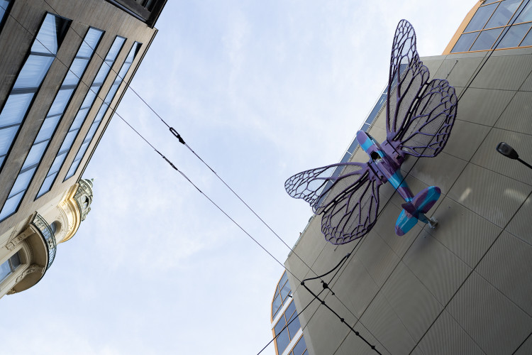 FOTOGALERIE: Obchodní dům Máj už zdobí oba Černého motýli. Povolení dostali na rok