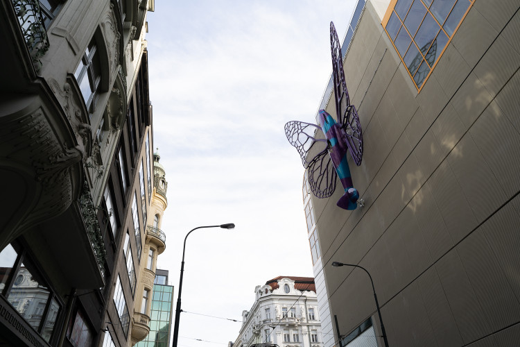 FOTOGALERIE: Obchodní dům Máj už zdobí oba Černého motýli. Povolení dostali na rok