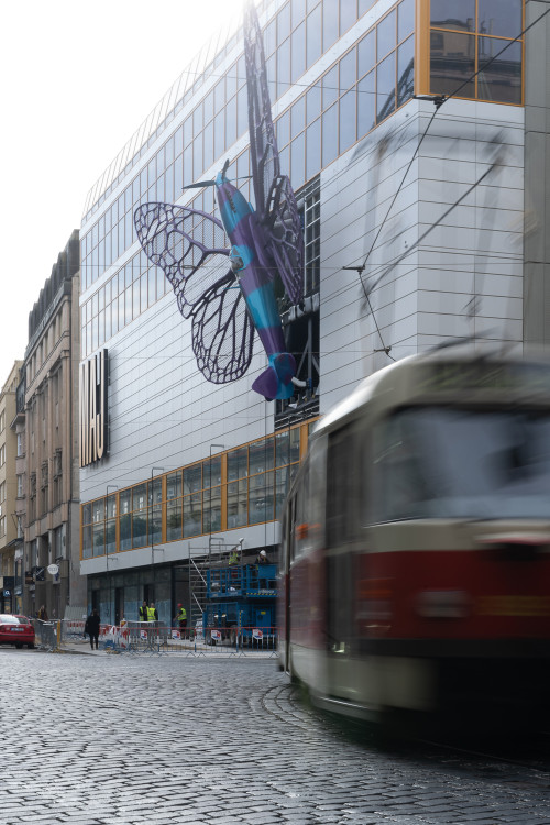 FOTOGALERIE: Obchodní dům Máj už zdobí oba Černého motýli. Povolení dostali na rok