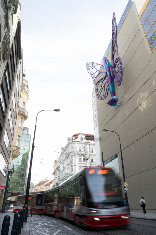 FOTOGALERIE: Obchodní dům Máj už zdobí oba Černého motýli. Povolení dostali na rok
