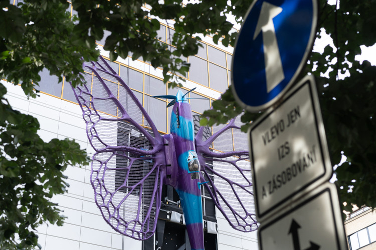 FOTOGALERIE: Obchodní dům Máj už zdobí oba Černého motýli. Povolení dostali na rok