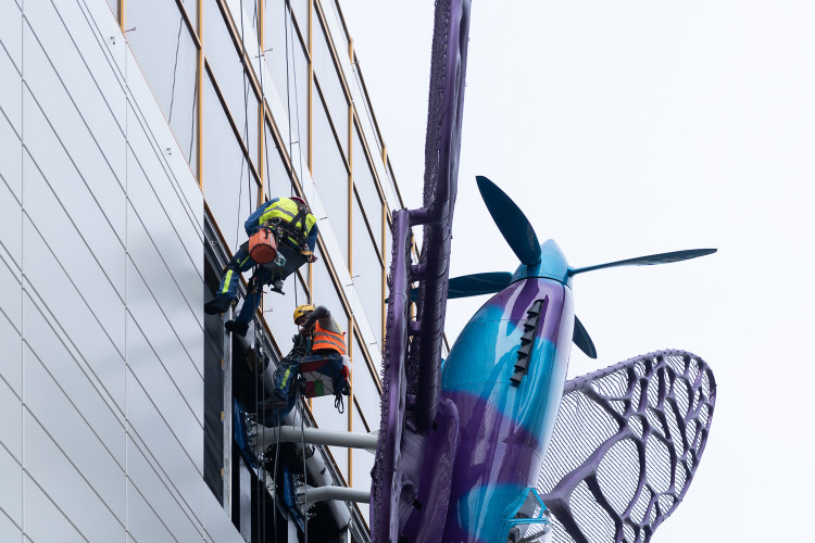 FOTOGALERIE: Obchodní dům Máj už zdobí oba Černého motýli. Povolení dostali na rok