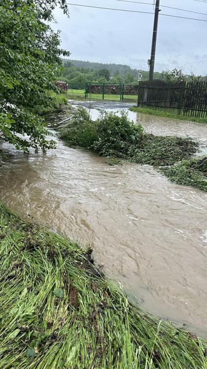 foto: SDH Horšovský Týn