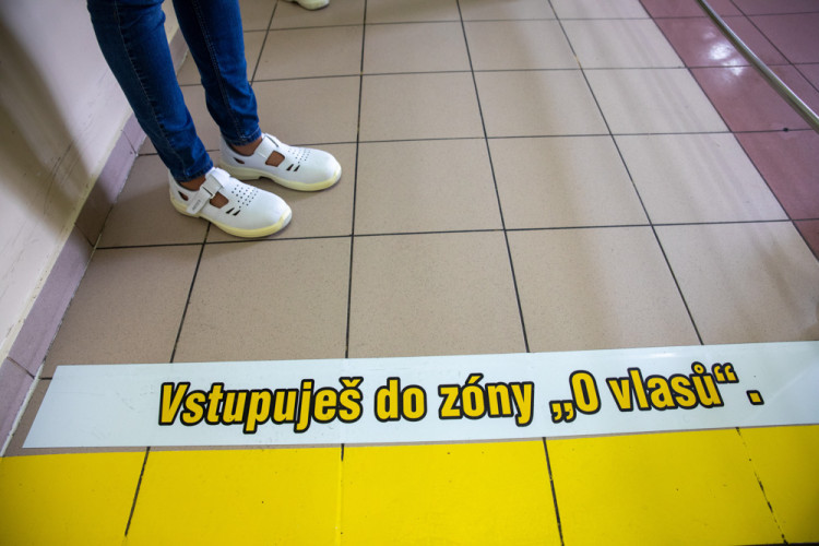 FOTOGALERIE: Moderní i tradiční. Čokoládovna Zora Olomouc funguje v Olomouci přes 120 let