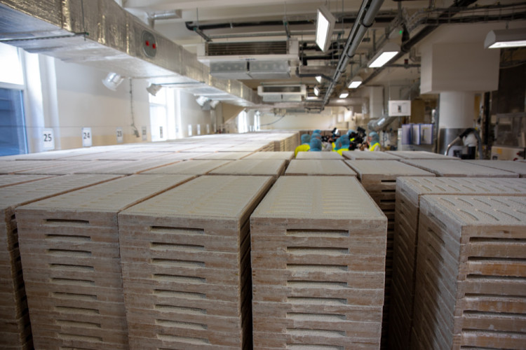 FOTOGALERIE: Moderní i tradiční. Čokoládovna Zora Olomouc funguje v Olomouci přes 120 let