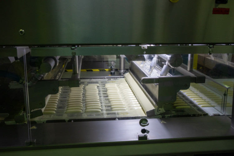 FOTOGALERIE: Moderní i tradiční. Čokoládovna Zora Olomouc funguje v Olomouci přes 120 let