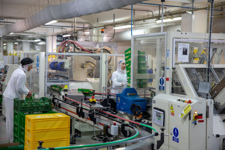 FOTOGALERIE: Moderní i tradiční. Čokoládovna Zora Olomouc funguje v Olomouci přes 120 let