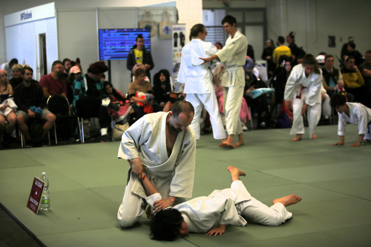 FOTOGALERIE: Animefest 2024