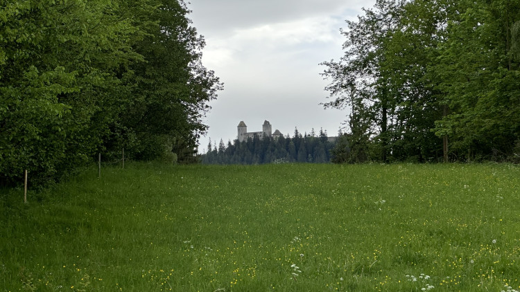 Z Humpolce je krásný výhled na hrad Kašperk