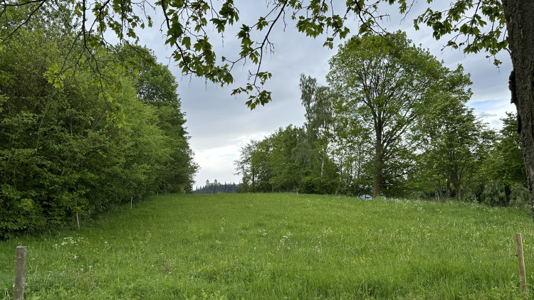 Z Humpolce je krásný výhled na hrad Kašperk