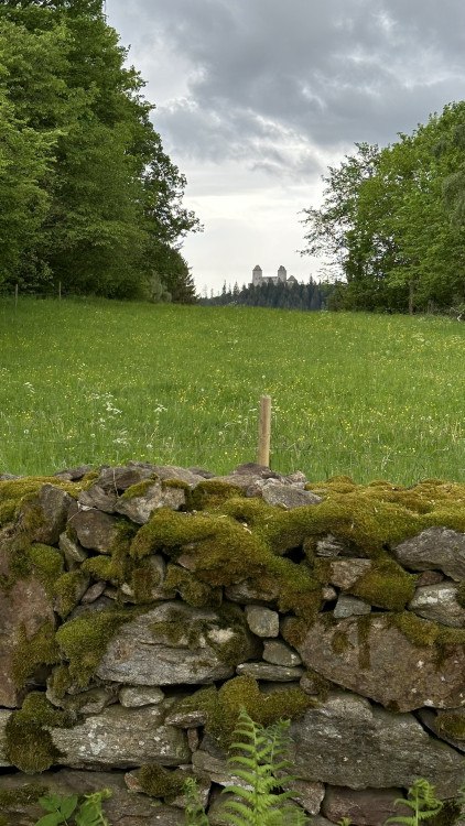 Z Humpolce je krásný výhled na hrad Kašperk