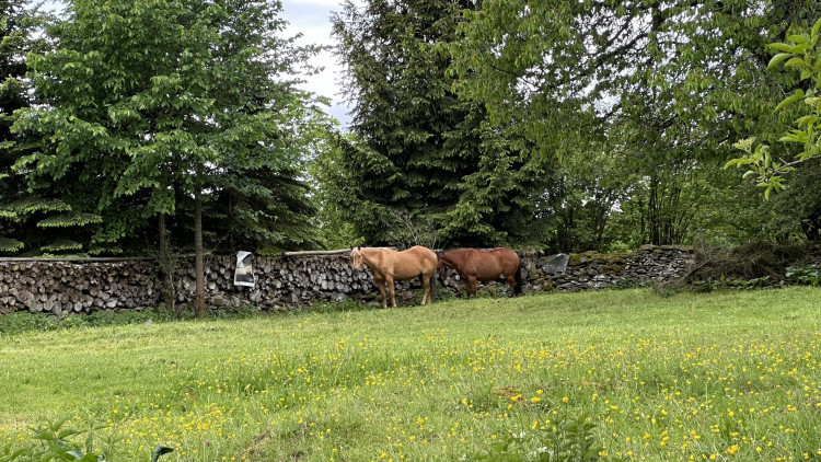 FOTOGALERIE: Humpolec na Šumavě