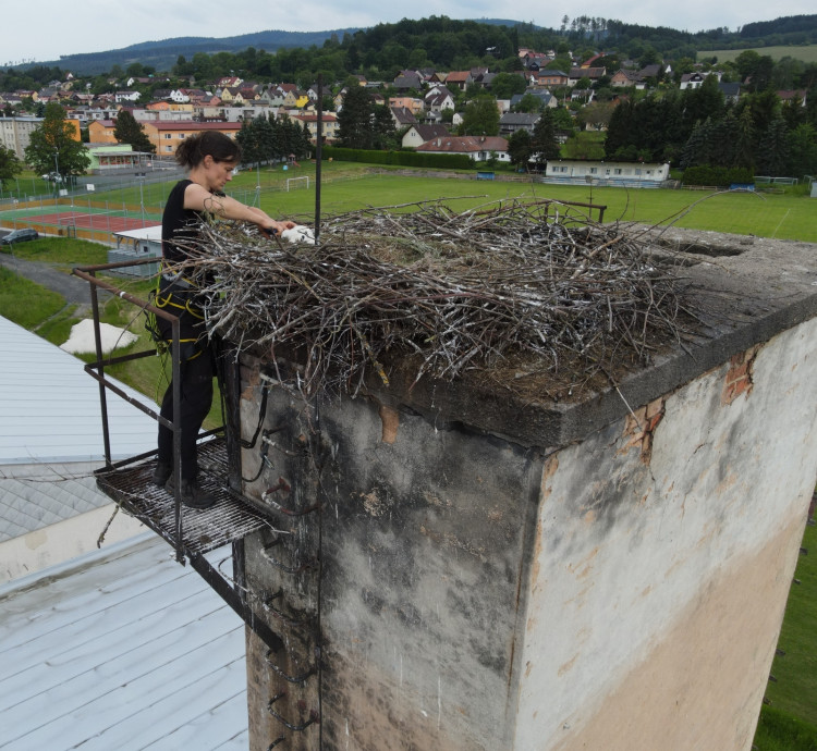 FOTOGALERIE: Adopce čápů