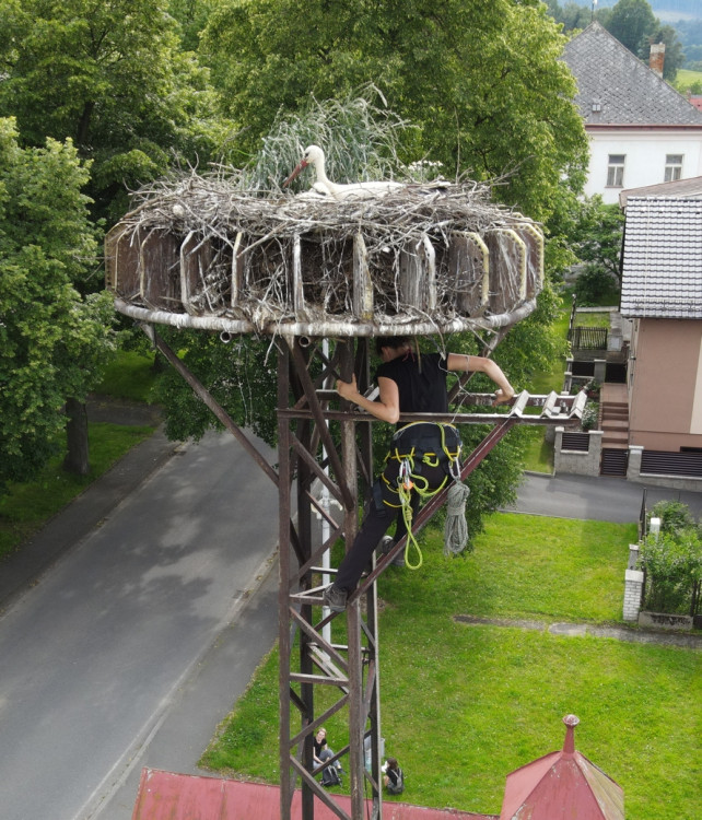 FOTOGALERIE: Adopce čápů