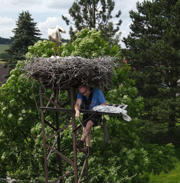 FOTOGALERIE: Adopce čápů