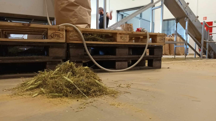 FOTOGALERIE: Jablka a byliny. Kofola rozvíjí sady na Šumpersku