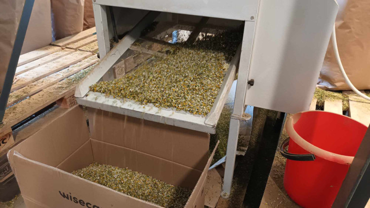 FOTOGALERIE: Jablka a byliny. Kofola rozvíjí sady na Šumpersku