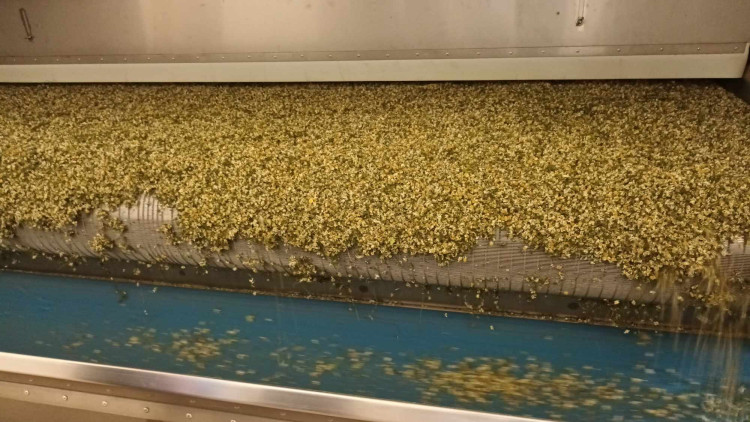 FOTOGALERIE: Jablka a byliny. Kofola rozvíjí sady na Šumpersku