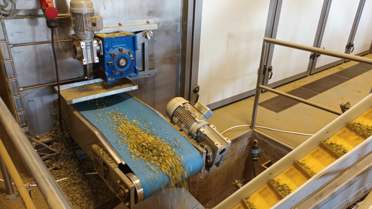 FOTOGALERIE: Jablka a byliny. Kofola rozvíjí sady na Šumpersku