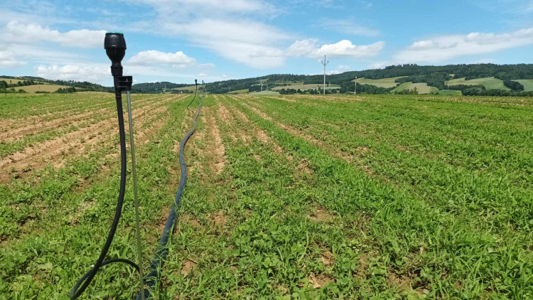 FOTOGALERIE: Jablka a byliny. Kofola rozvíjí sady na Šumpersku