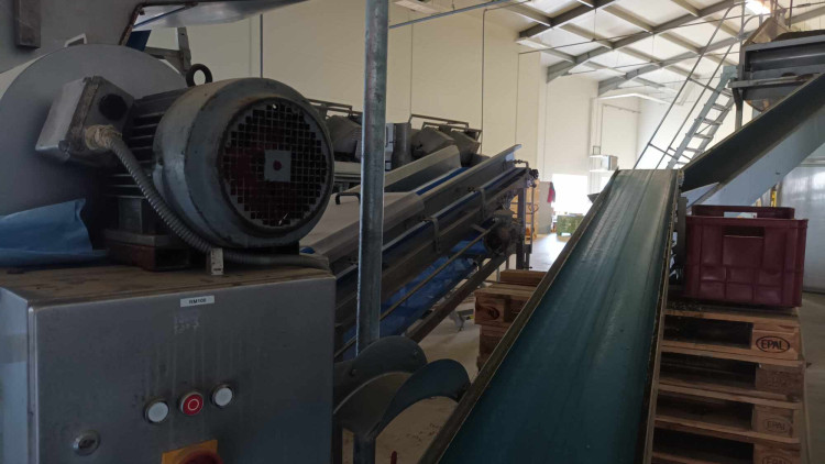 FOTOGALERIE: Jablka a byliny. Kofola rozvíjí sady na Šumpersku