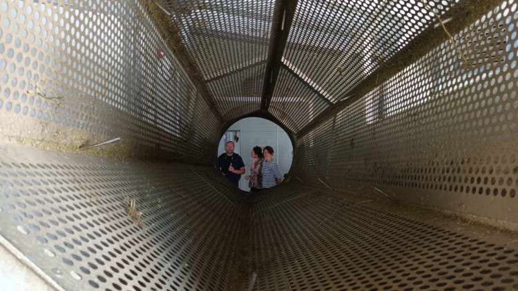 FOTOGALERIE: Jablka a byliny. Kofola rozvíjí sady na Šumpersku