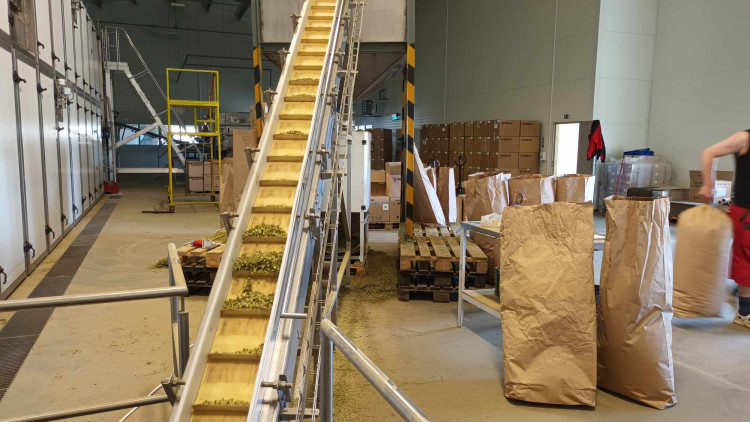 FOTOGALERIE: Jablka a byliny. Kofola rozvíjí sady na Šumpersku