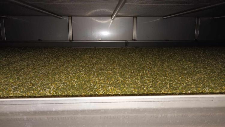 FOTOGALERIE: Jablka a byliny. Kofola rozvíjí sady na Šumpersku