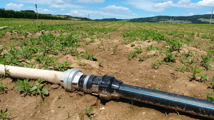 FOTOGALERIE: Jablka a byliny. Kofola rozvíjí sady na Šumpersku