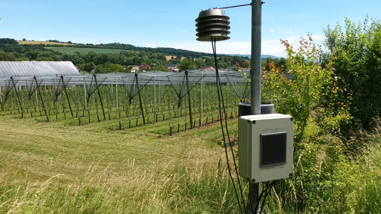 FOTOGALERIE: Jablka a byliny. Kofola rozvíjí sady na Šumpersku