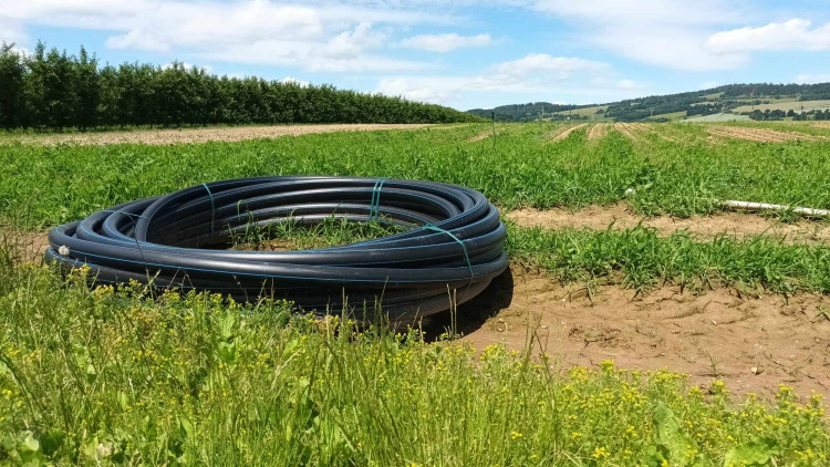 FOTOGALERIE: Jablka a byliny. Kofola rozvíjí sady na Šumpersku